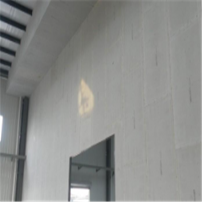 渭滨宁波ALC板|EPS加气板隔墙与混凝土整浇联接的实验研讨